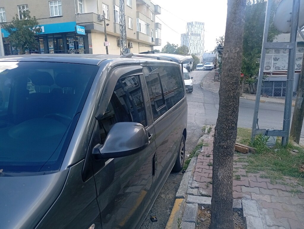 Yol Aslanı Satista - 12