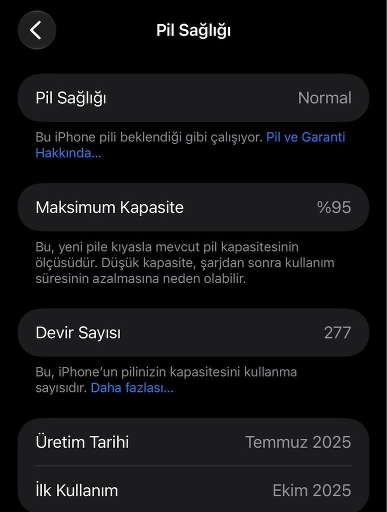 iPhone 17 Pro Max 256 GB Silver - 6