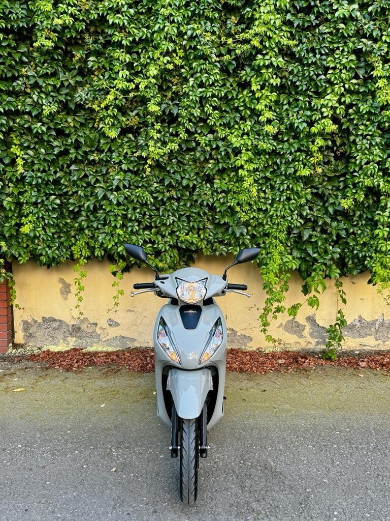 Temiz Honda Dio Nardo Gri - 11