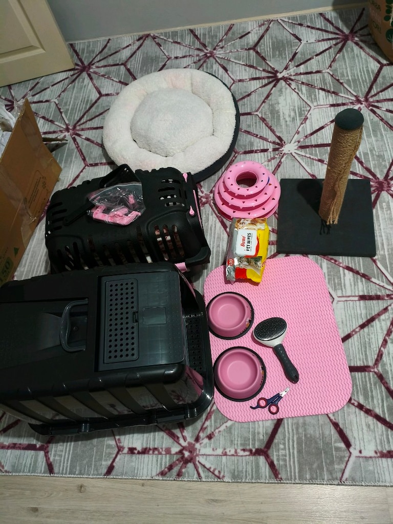 Kedi seti (2 hafta kullanıldı) - 6