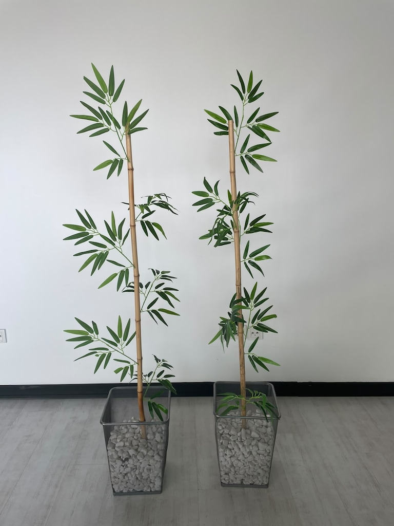 KLAS OFİS ÜSKÜDAR YAPAY BAMBU ÇİÇEKLİK İKİNCİ EL - 3