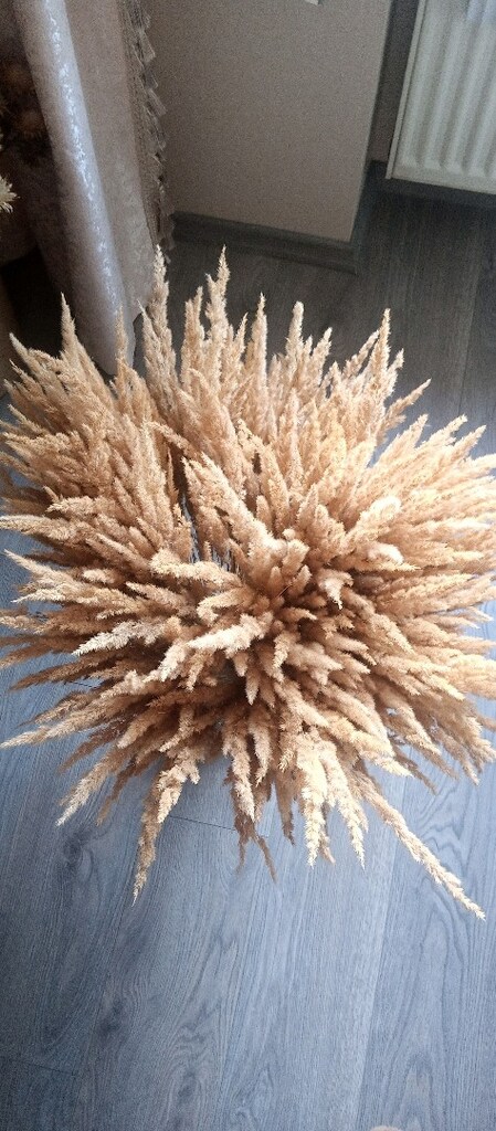 kuru çiçek - 2