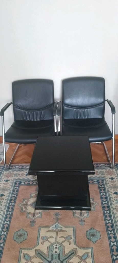 Ofis Deri Sandalye Takımı - 2