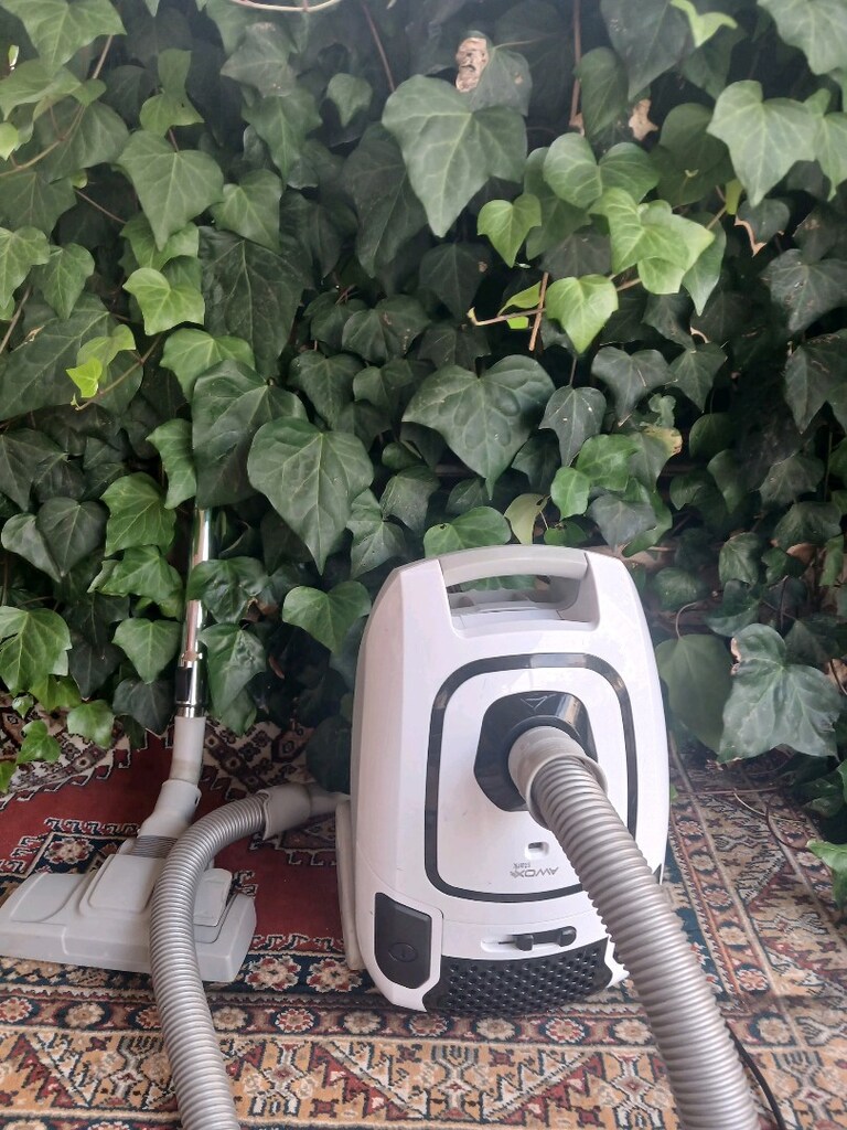 AWOX ELEKTRİKLİ SÜPÜRGE TOZ TORBALİ DAHA SIFIR AYARINDA TERTEMİZ ÇOK G - 6