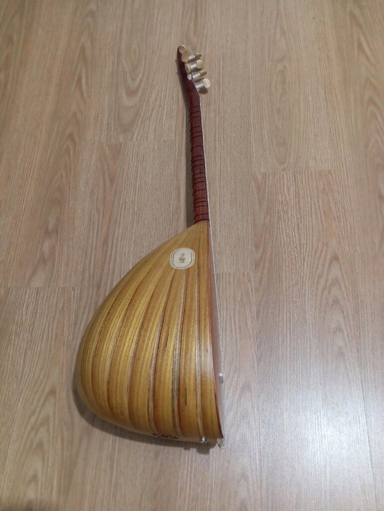 40 TEKNE DUT AĞACI KISA SAP ORTA ÜSTÜ KALİTE BAĞLAMA - 5