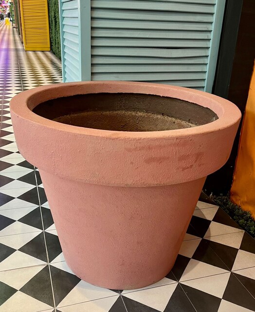 Terracotta Saksı