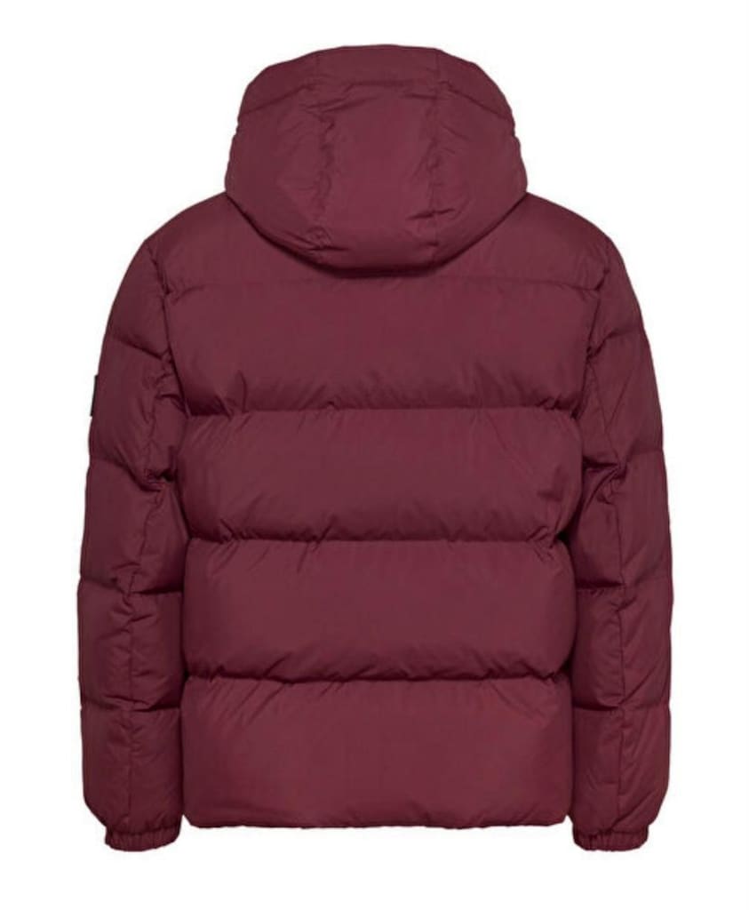 TOMMY HİLFİGER MONT - 3