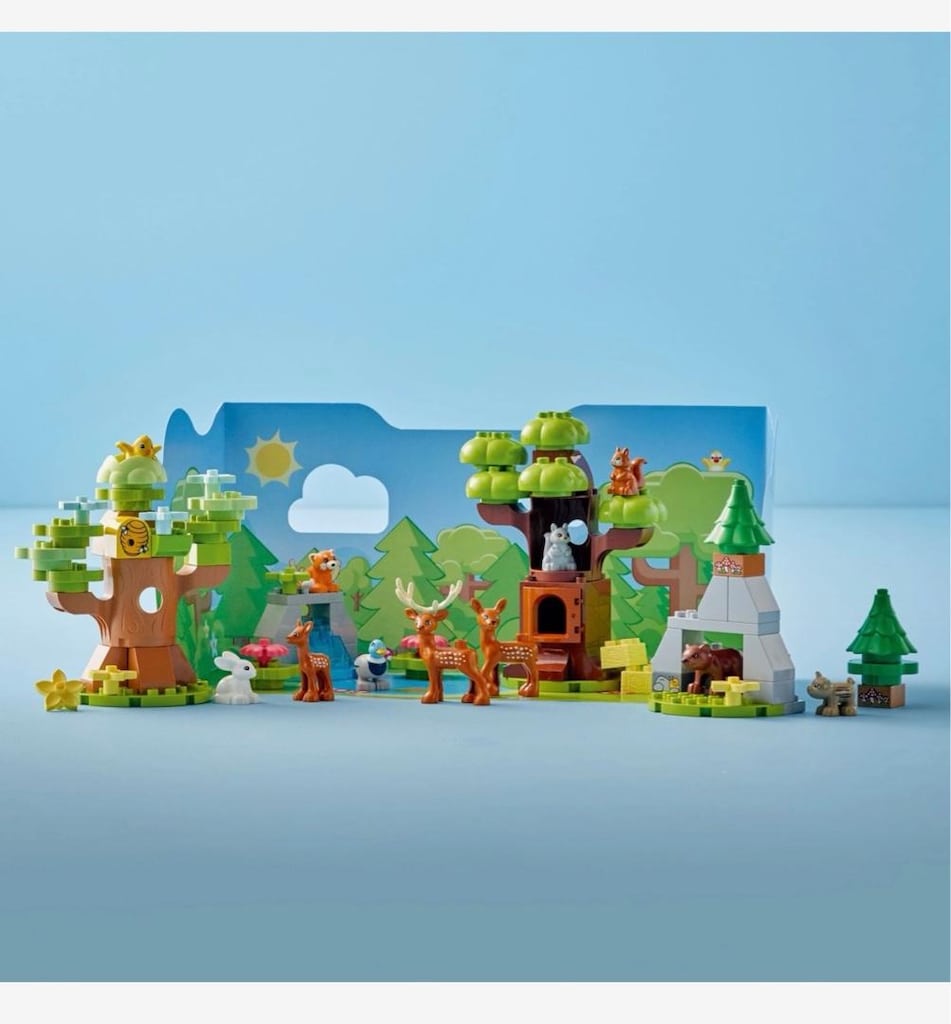 Lego Duplo 10979 Vahşi Avrupa Hayvanları Set - 6