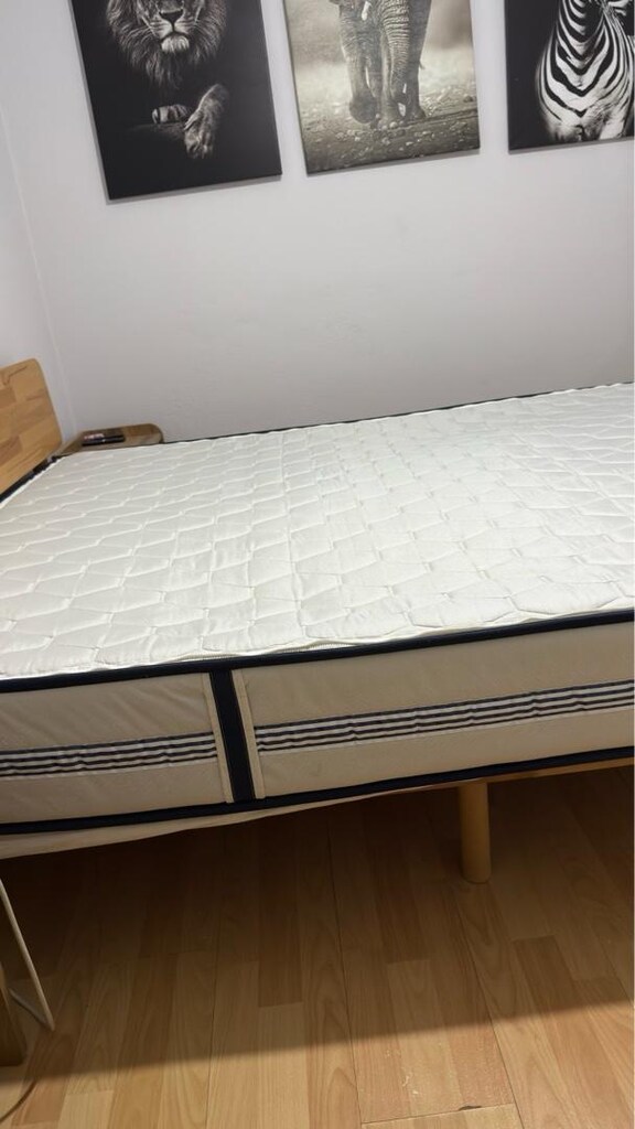 Bellona Orta Sert Bioenergy Active Yatak 160x200 SADECE YATAK - 4