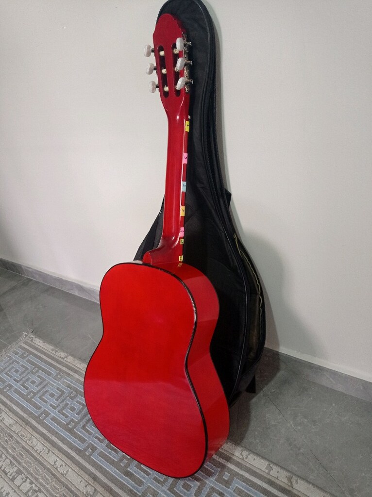 SİLVERİO 4/4 GİTAR - 9
