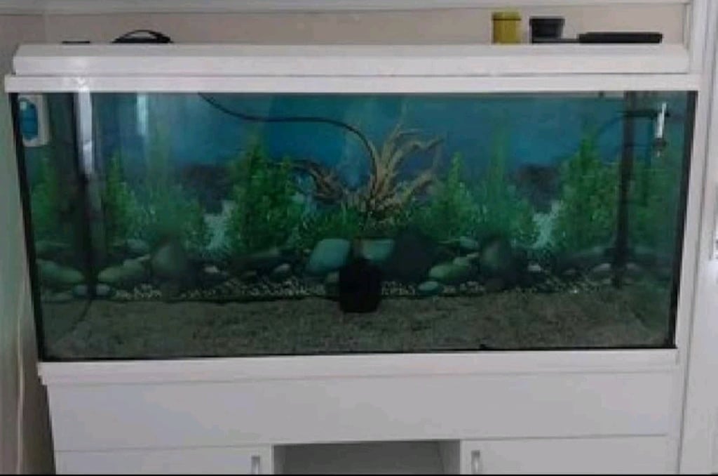 akvaryum 130*50*60 ölçülerinde ful artı ful tüm aksesuarları ile - 6