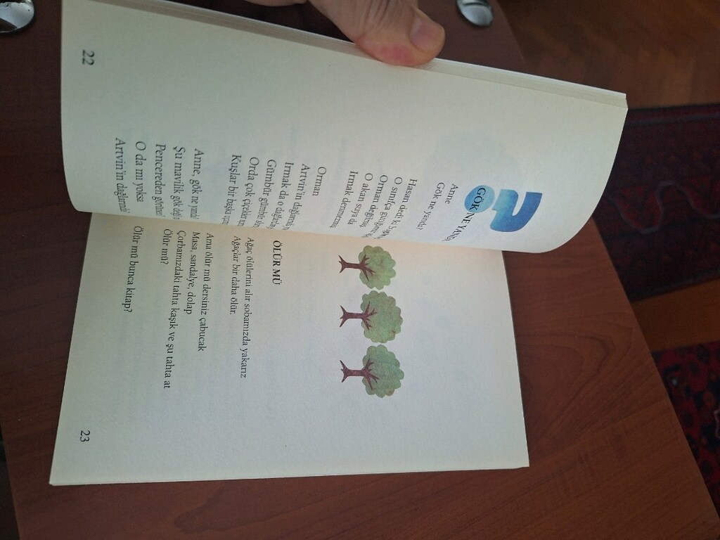 şiir gemisi Ayla çınaroğlu - 4