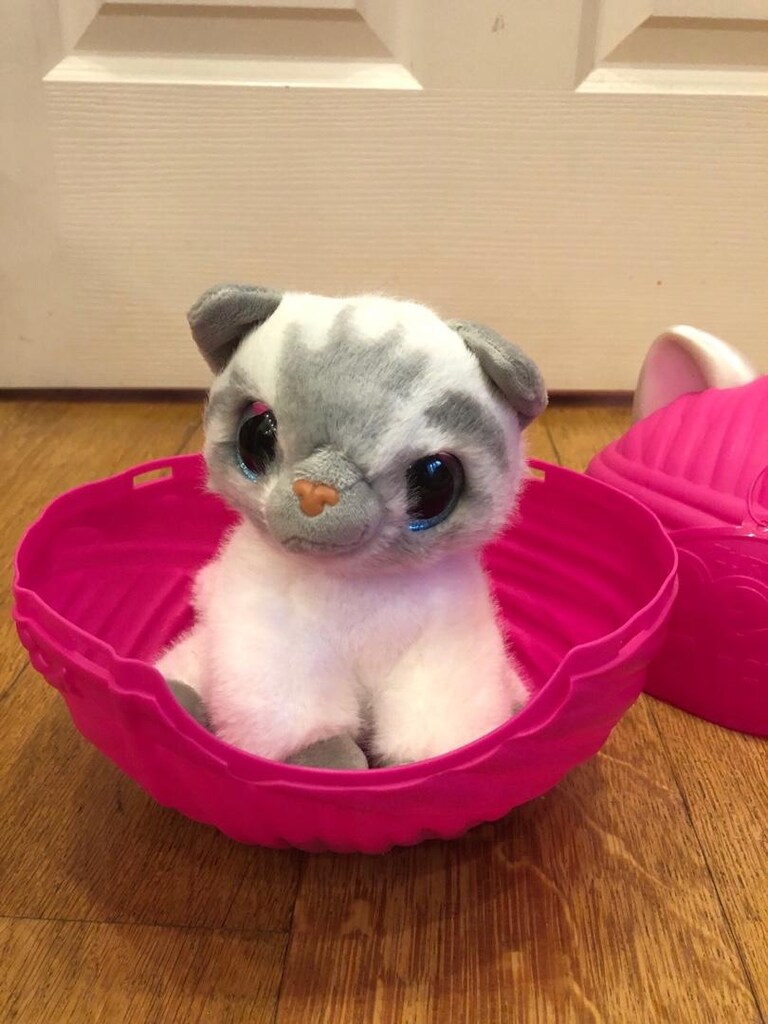 #petsalive#seslikedim - 3