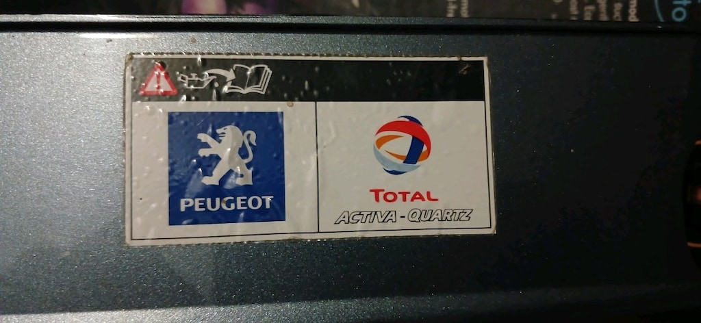 Peugeot Araba Izgarası - 4
