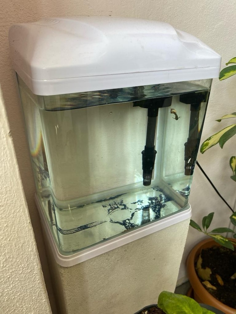 NANO AKVARYUM - 3