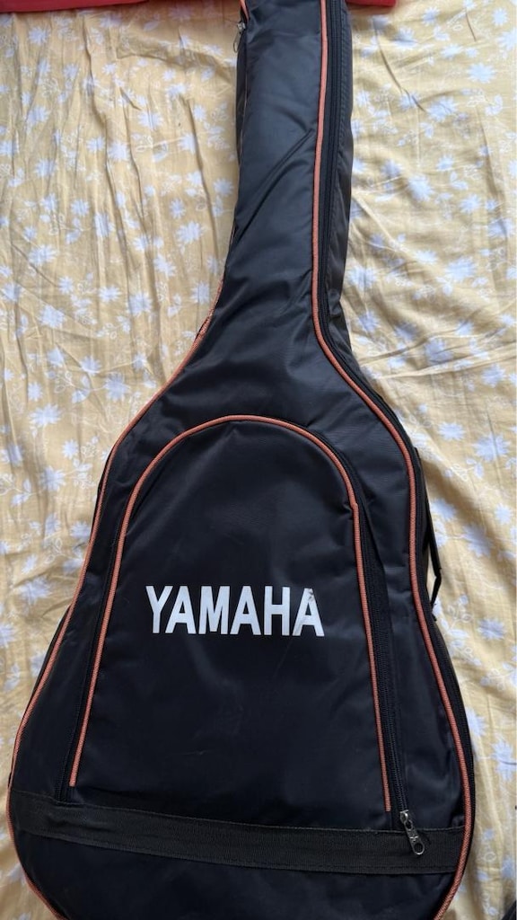 klasik gitar - 10