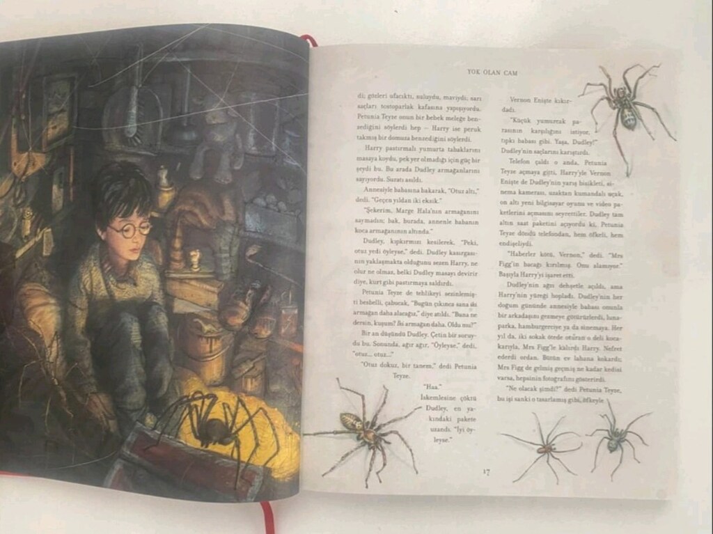Harry Potter ve Felsefe Taşı (Resimli Özel Baskı) - 8