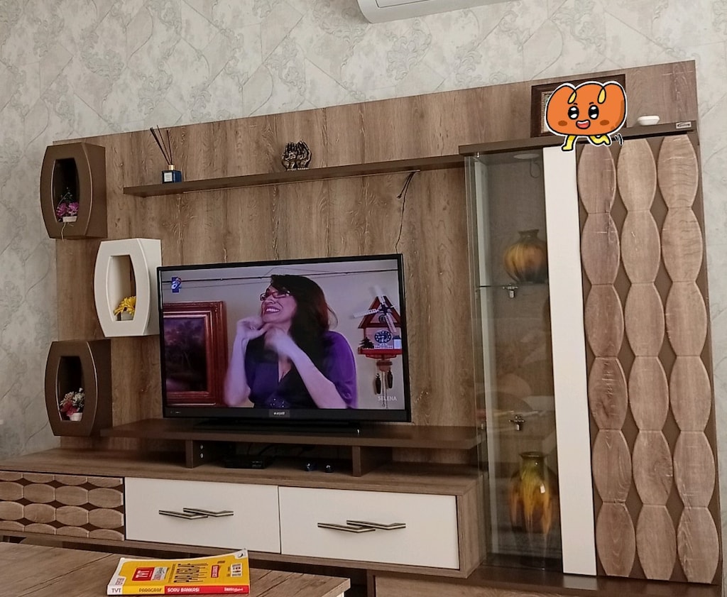 tivi ünitesi - 2
