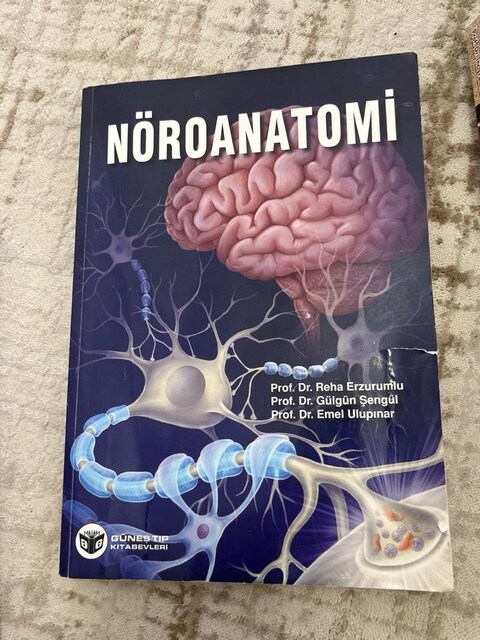 nöroanatomi kitabı