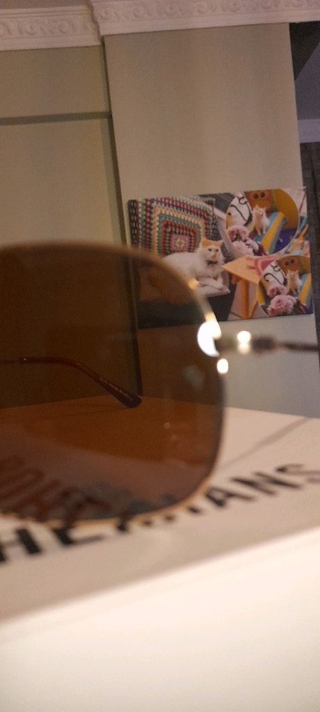 Rayban Gunes Gozlugu - 6
