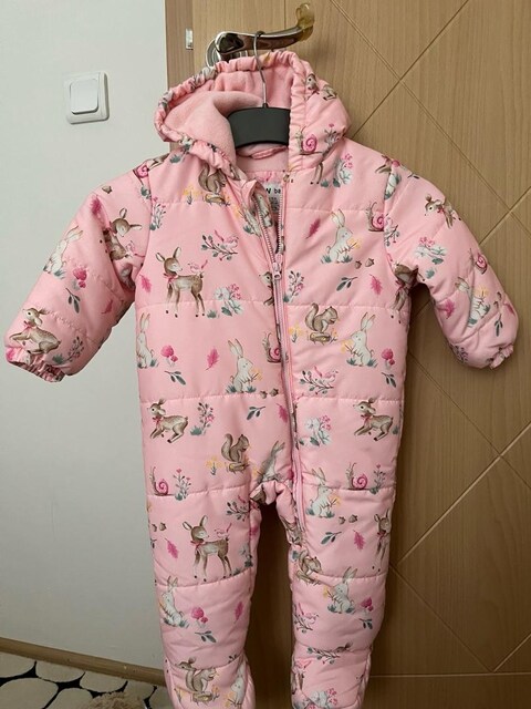 Astronot mont