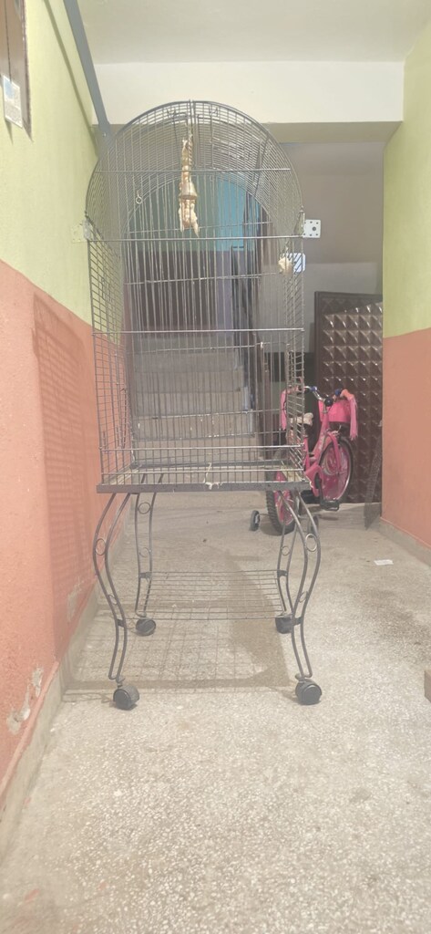 Tekerlekli Ayaklı Büyük Kubbeli Papağan Kafesi Ve Oyun Parkı - 12