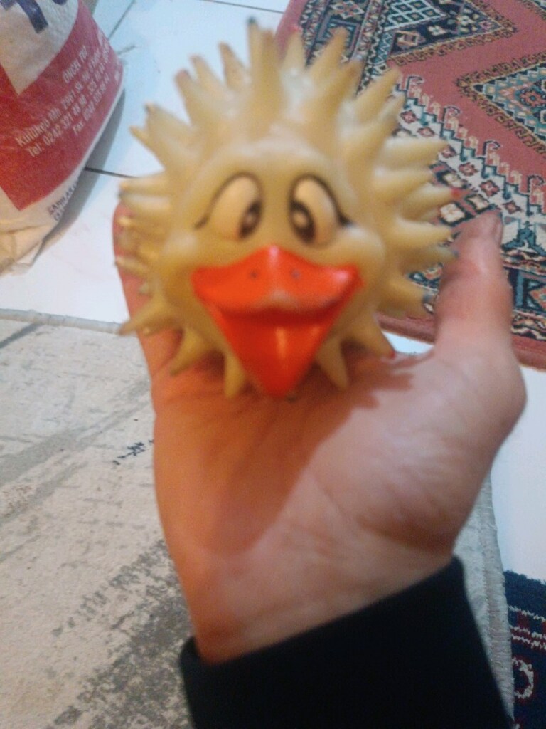 düdüklü oyuncak kirpi - 2