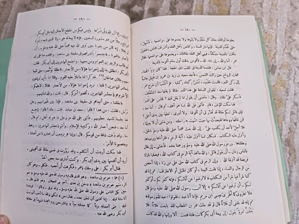 Muhtasar siyer kitabı Arapça - 2