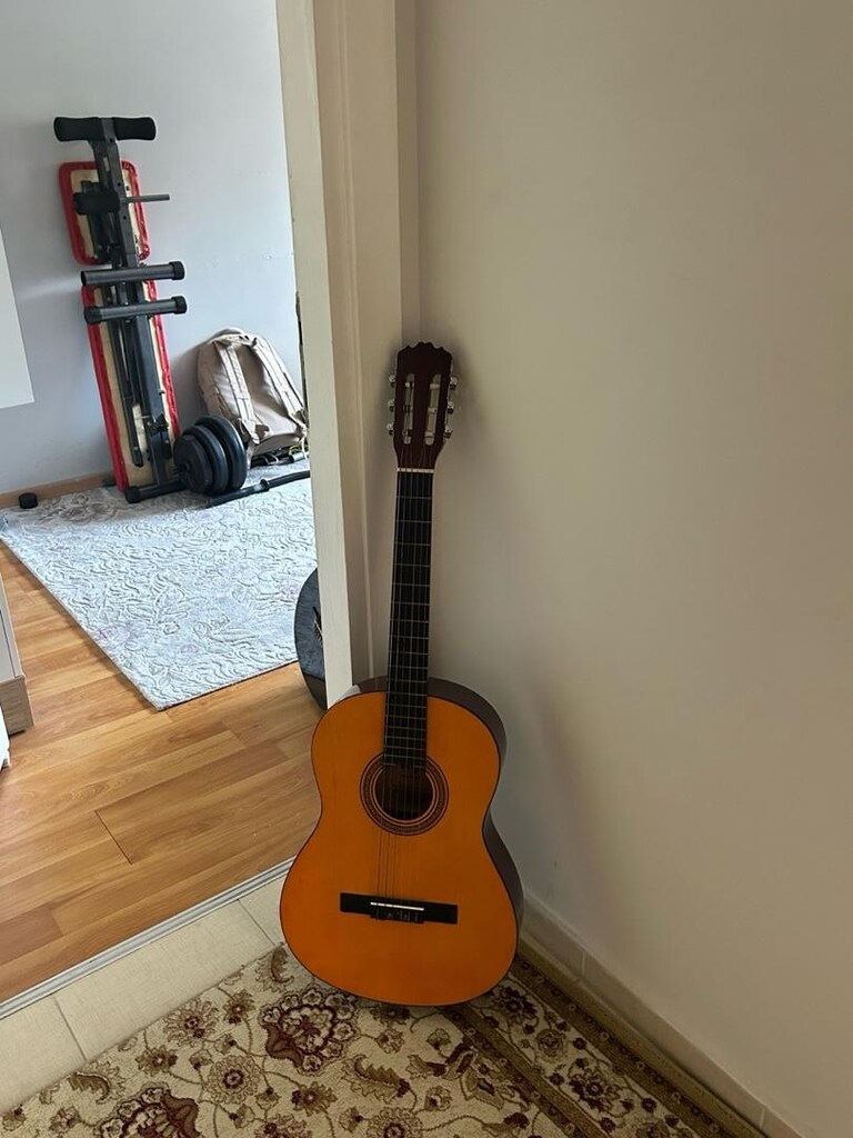 tertemiz klasik gitar - 2