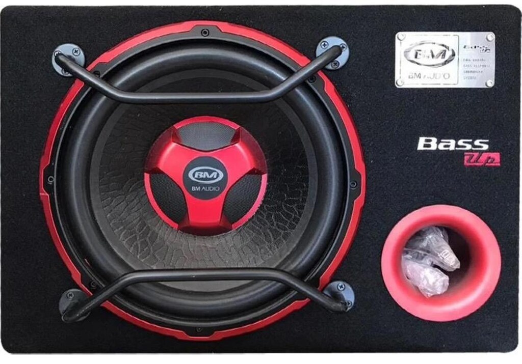 BM KENDİNDEN ANFİLİ BASS 30cm - 2