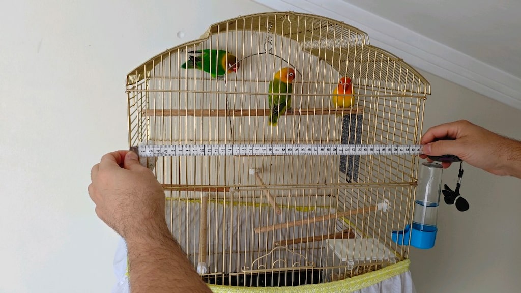 kuş kafesi - 7
