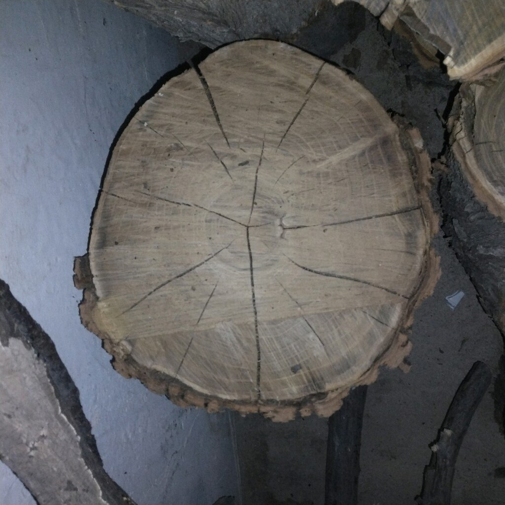 kütük tahta - 8