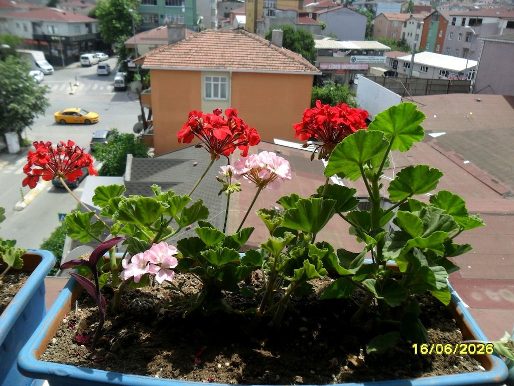 Samsung ES25 Dijital Fotoğraf Makinesi 12.2 Megapiksel 4X Zoom Siyah - 13