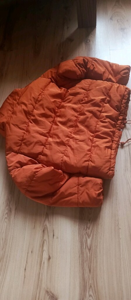 pul bear Mont — görsel 5/5