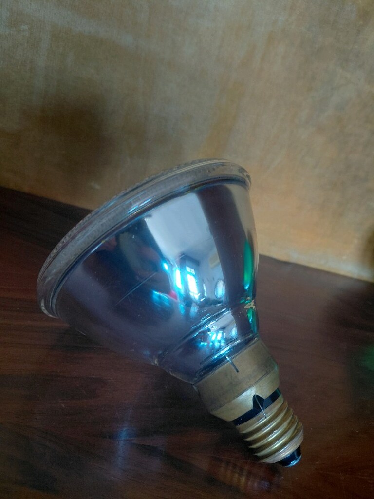 Osram Concentra Flood 100 Watt akZ - 4