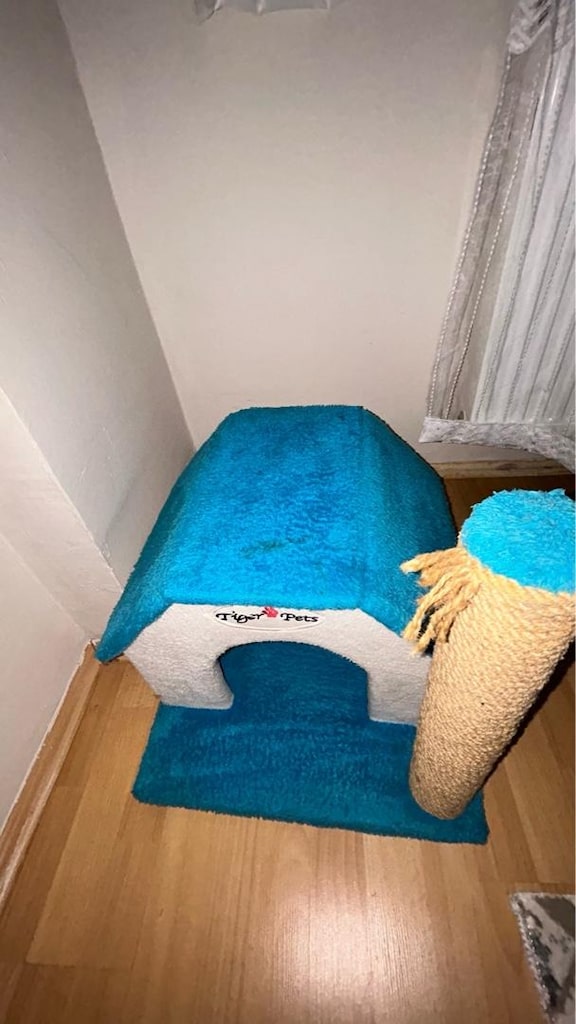 Kedi evi - 3