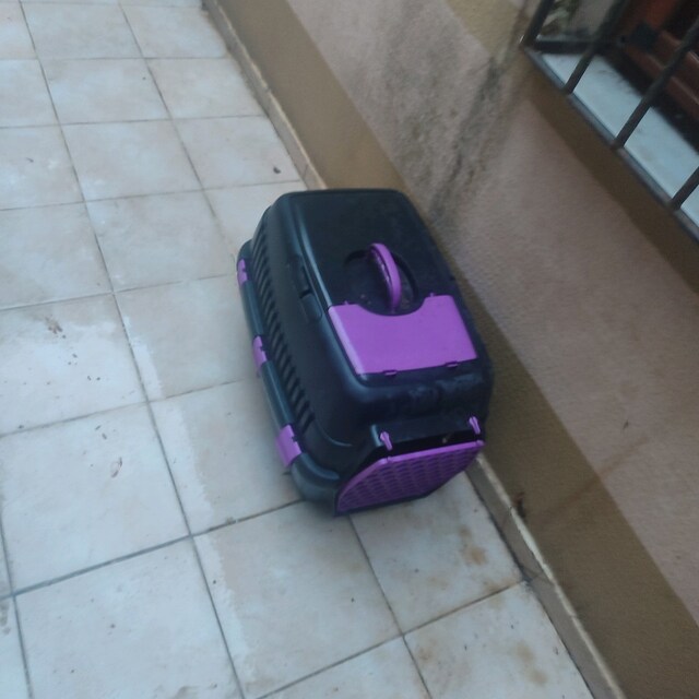 kedi köpek taşıma kafesi