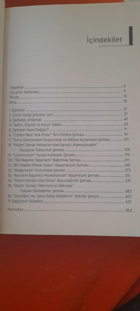 HAYATI YENİDEN KEŞFEDİN, JEFFREY E YOUNG - 3