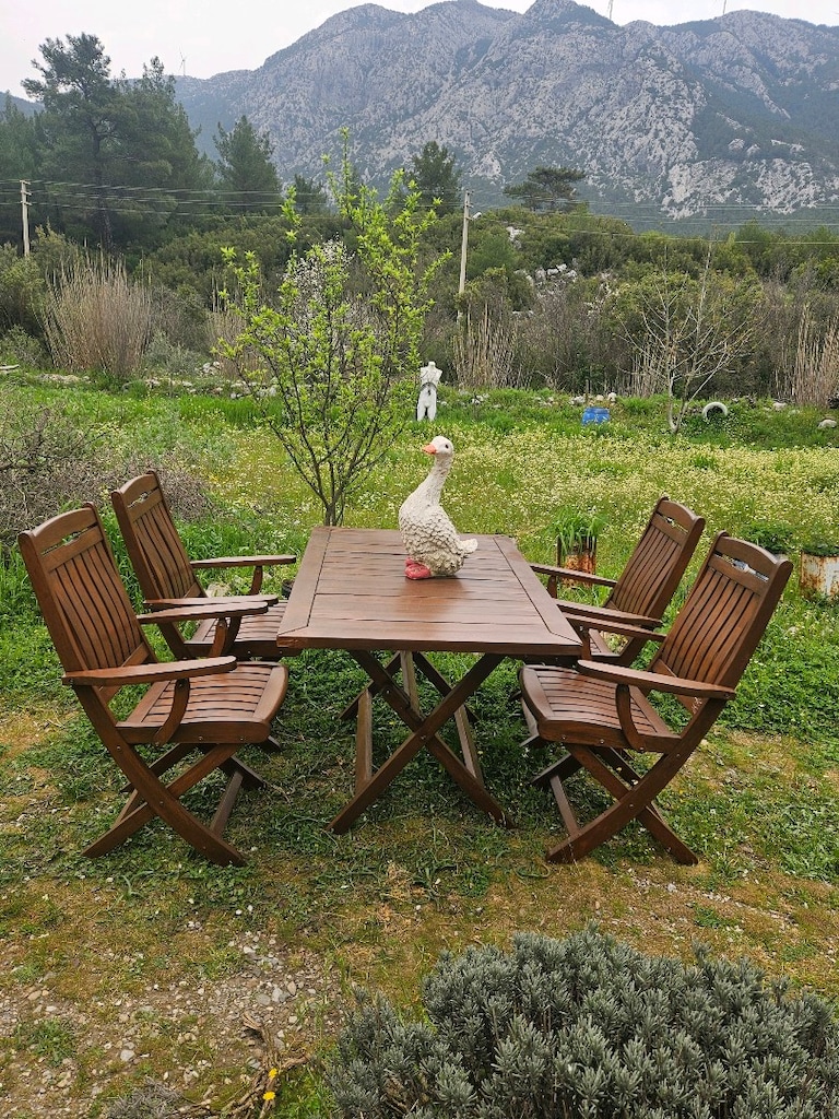 Katlanır Tik ağacı Katlanır kolçaklı masa sandalye - 3