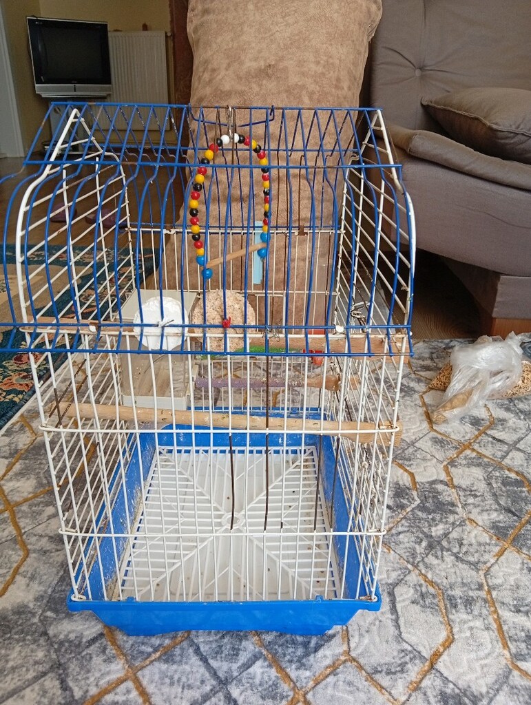 kuş kafesi - 2
