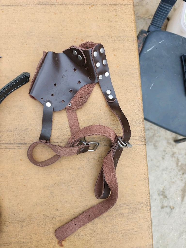 köpek tasması - 4