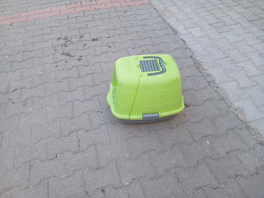 KEDİ. EVİ. YEP. YENİ. FAZLALIKTAN - 2