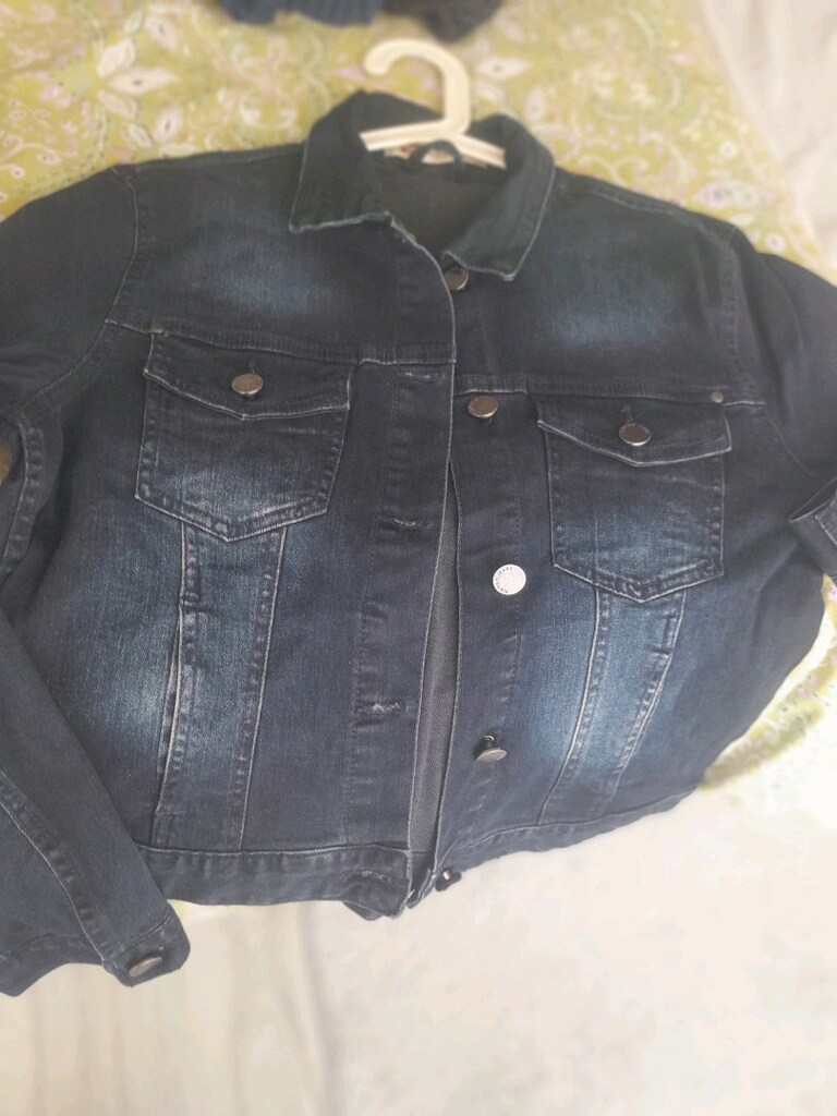 kot mont - 4