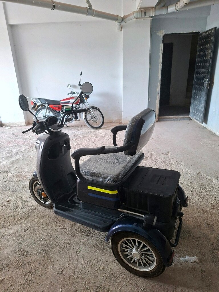 Kral Anka 3 Tekerlekli Elektrikli Bisiklet - 3