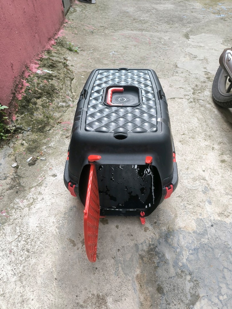 Kedi ihtiyaç ürünleri toplu - 5
