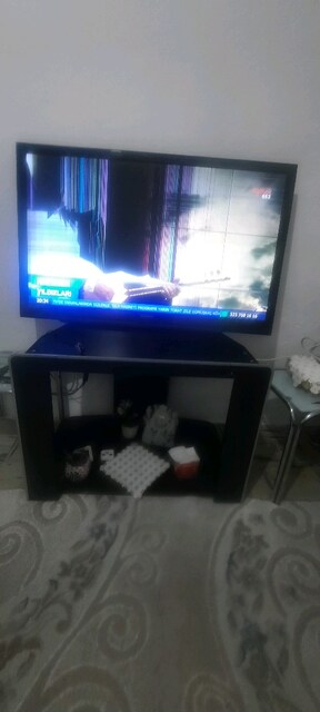 SUNNY EKRANI KIRIK TV