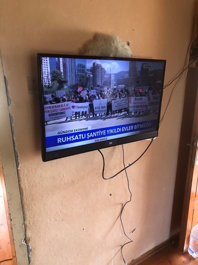 82 ekran tv Beko markası - 3