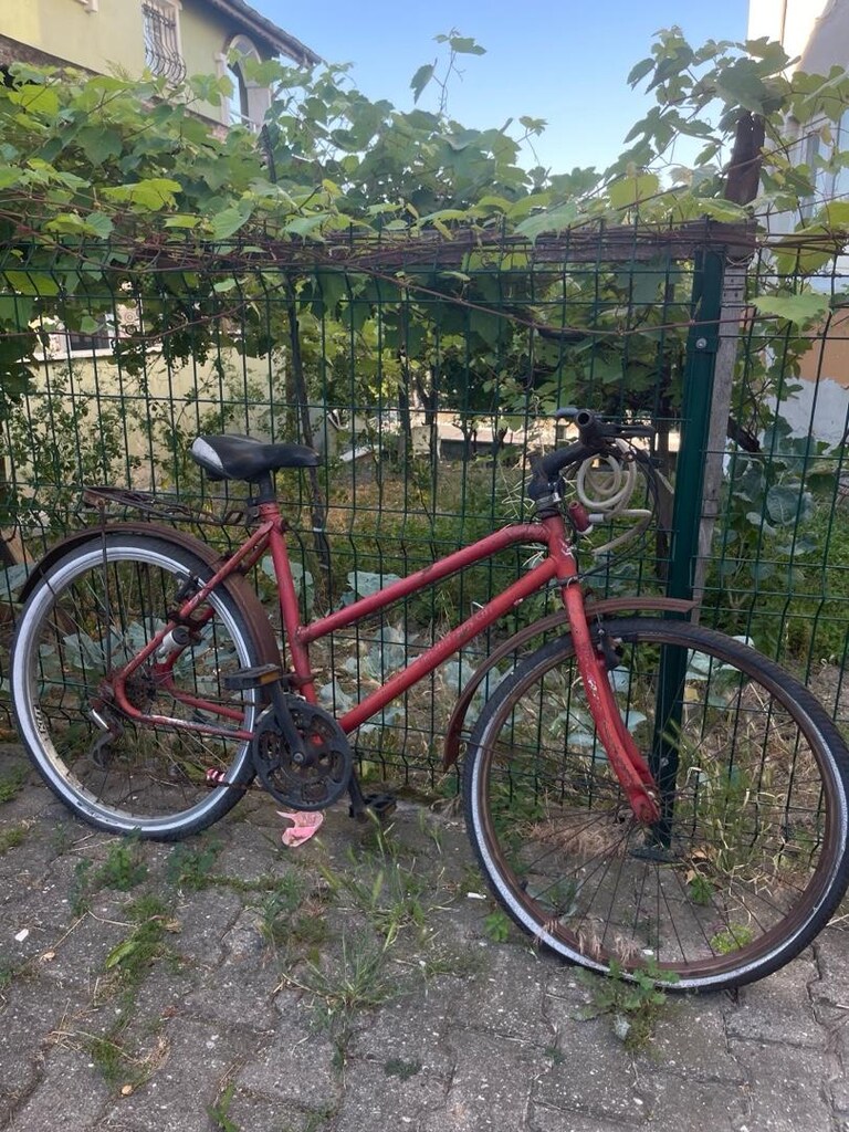 bianchi - 2
