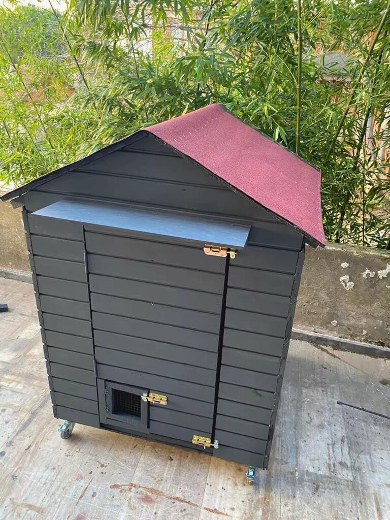 sokak kedi evi - 2