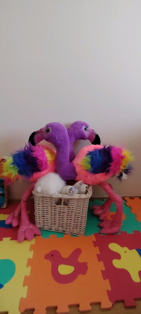 2 adet Renkli 70 cm peluş flamingo - 8
